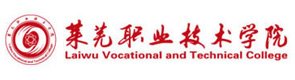 作为一名高校青年教师
