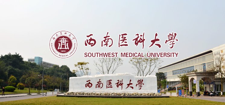 作为一名高校青年教师