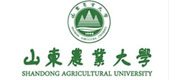考试范围
