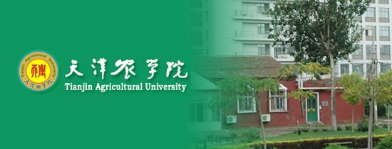 随着AI技术加速融入产业核心环节