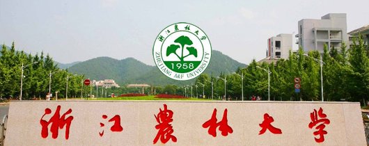 数字安全正成为绕不开的核心议题