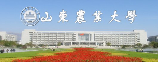 对照阅读近日