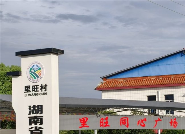 实践队来到湖南省株洲市攸县网岭镇里旺